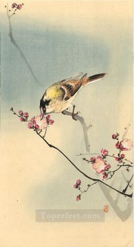 Ohara Koson Painting - songbird on plum blossom Ohara Koson Shin hanga
